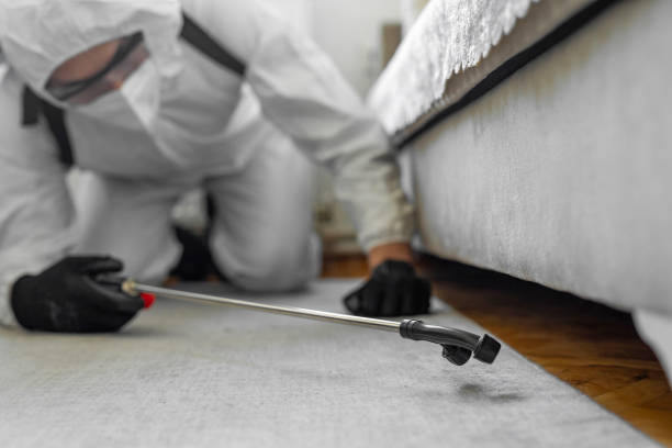 Professional Bed Bug Control technician working in New Franklin, MO