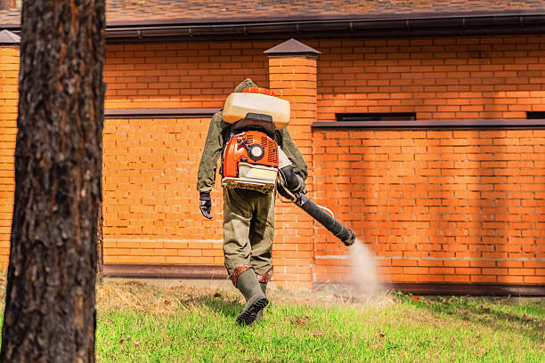 Top rated local Bed Bug Control specialists in New Franklin, MO
